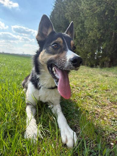 1 Jahr alt
